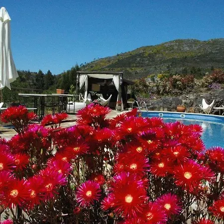 Azenha Dos Rodetes *