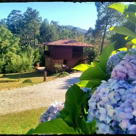 Azenha Dos Rodetes 农家乐 *